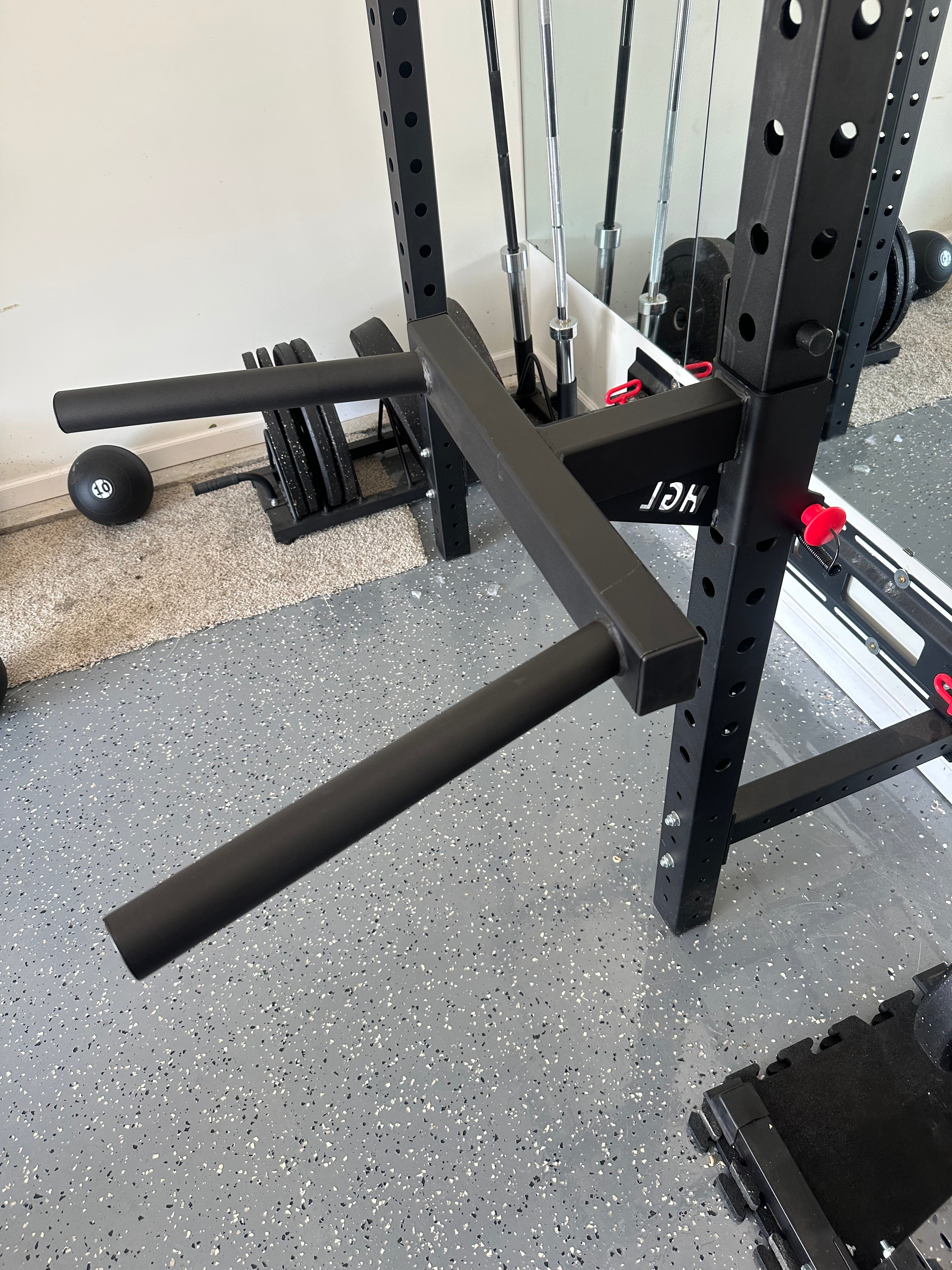 Squat Rack Dip Station