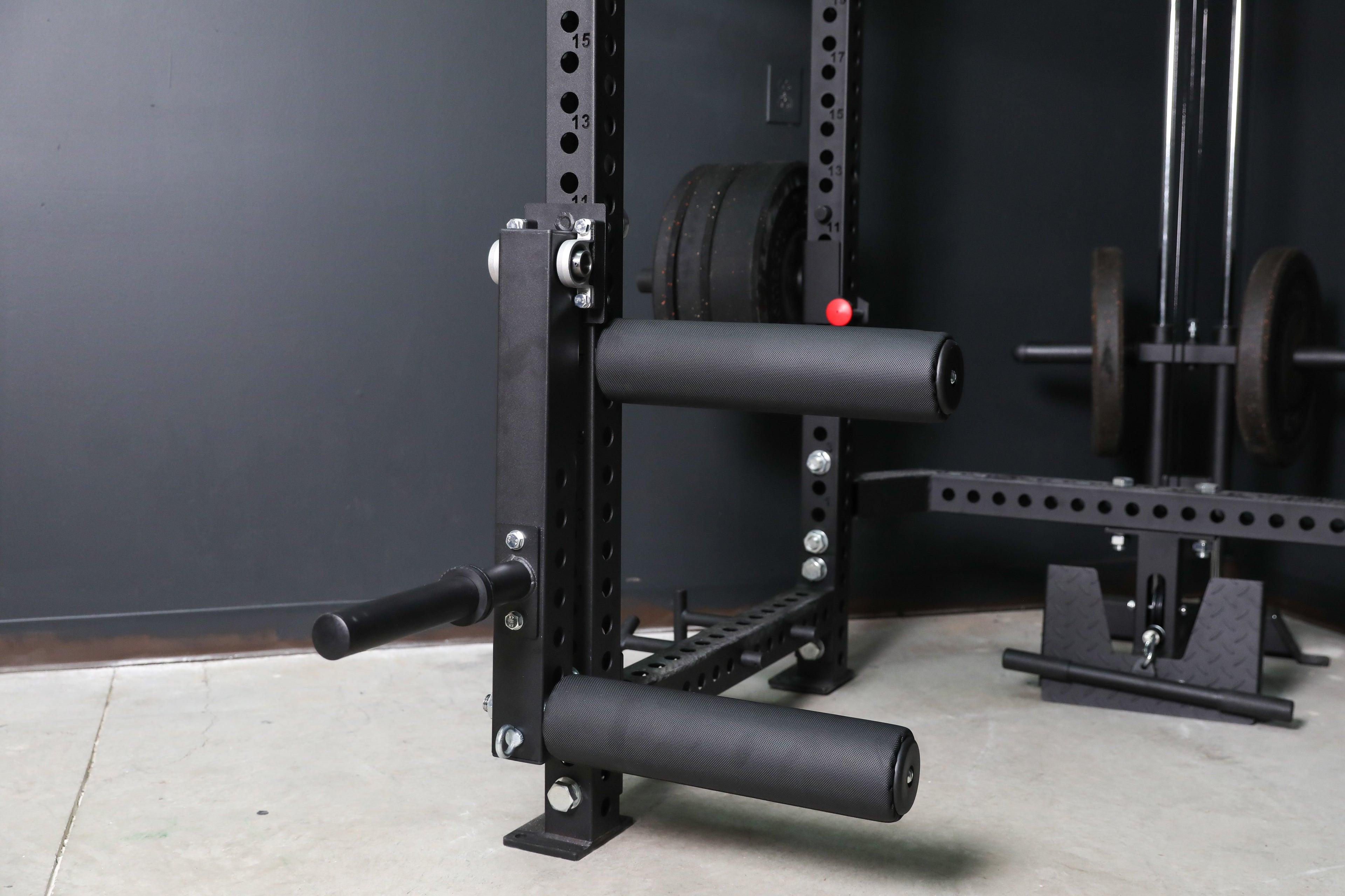 Rack Mounted Leg Extension / Curl